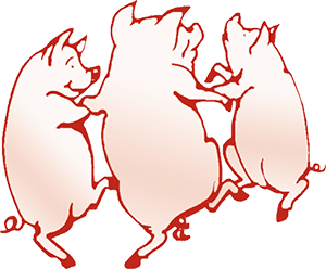 pigs